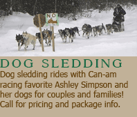 Dogsledding