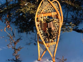 Snowmobiler